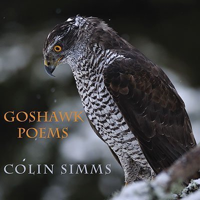 Colin Simms - Goshawk Poems