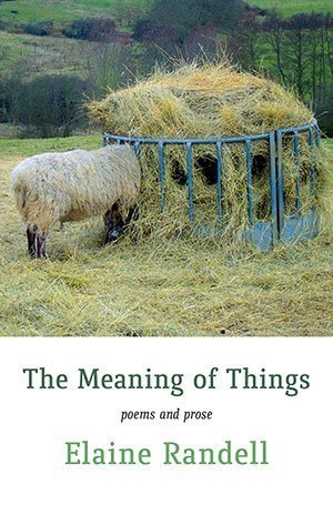 Elaine Randell - The Meaning of Things