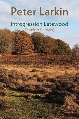 Peter Larkin - Introgression Latewood