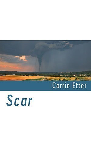 Carrie Etter - Scar