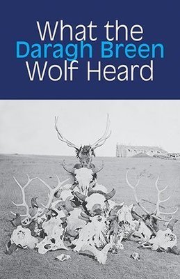 Daragh Breen - What the Wolf Heard