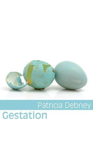 Patricia Debney - Gestation