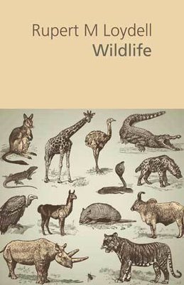 Rupert M Loydell - Wildlife