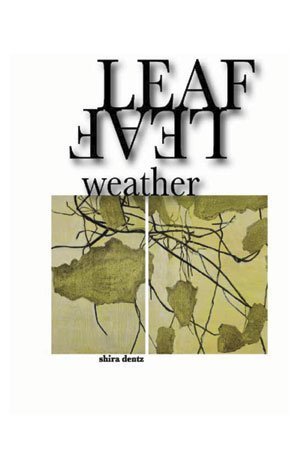 Shira Dentz - Leaf Weather