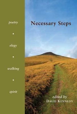 David Kennedy - Necessary Steps