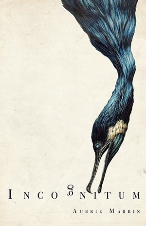 Aubrie Marrin - Incognitum