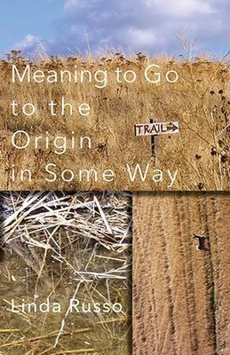 Linda Russo - Meaning to Go to the Origin in Some Way