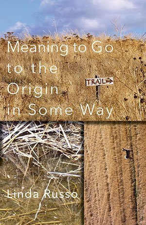 Linda Russo - Meaning to Go to the Origin in Some Way