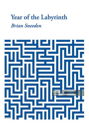 Brian Sneeden - Year of the Labyrinth Brian Sneeden - Year of the Labyrinth