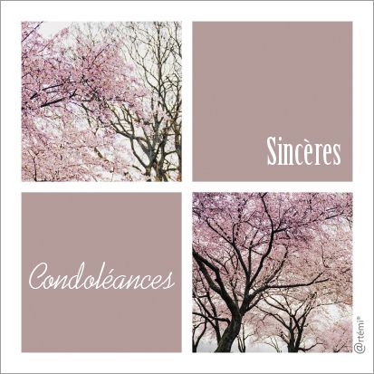 Sincères condoléances