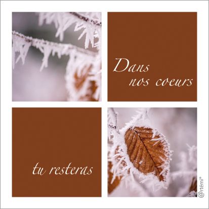 Dans nos coeurs tu resteras