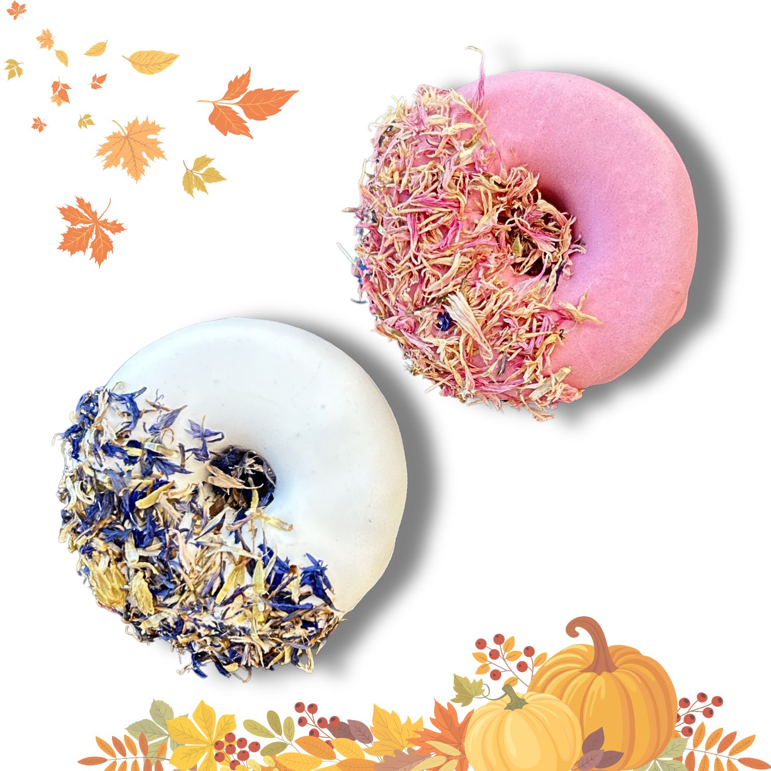 Donut Chaber