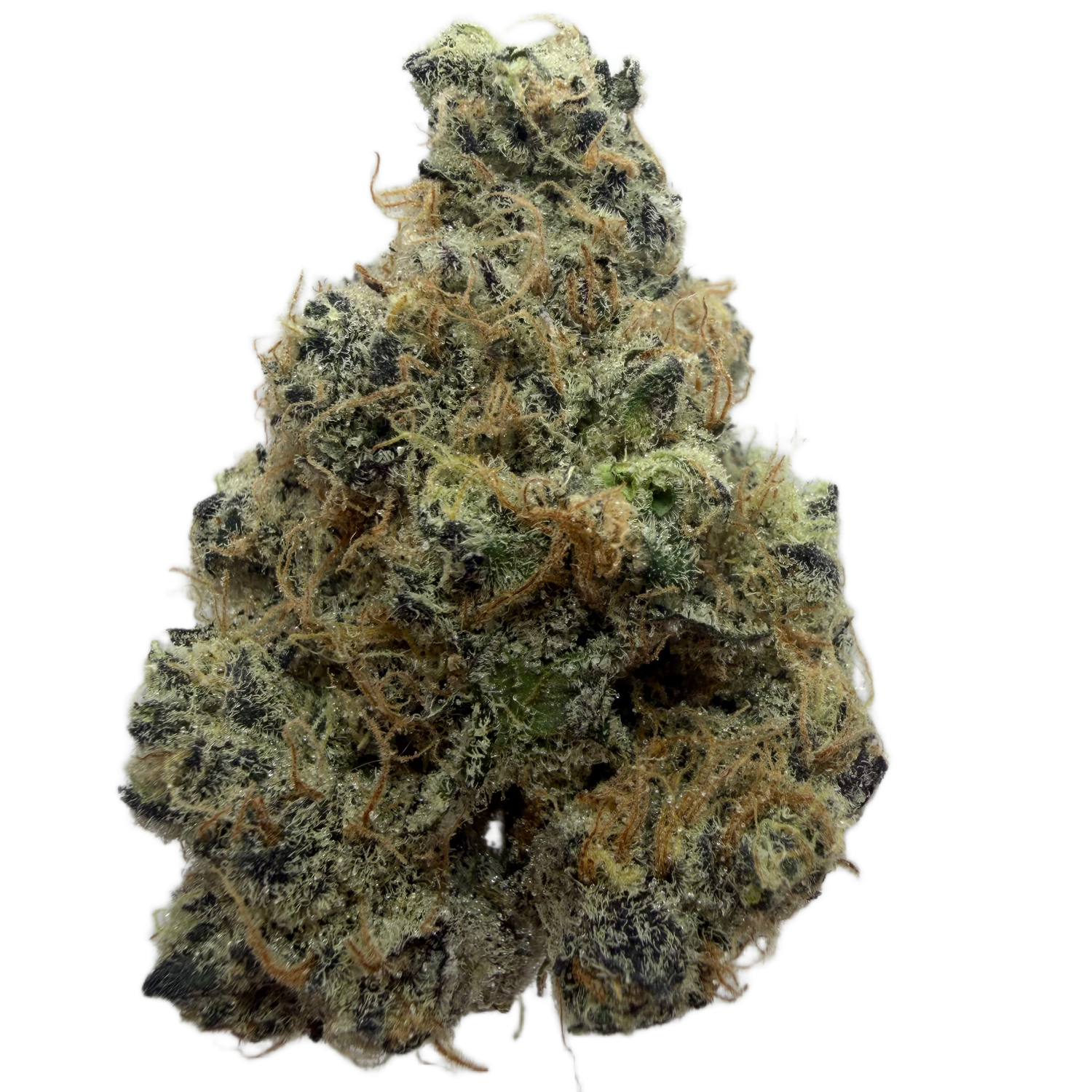 BUBBLEGUM GELATO