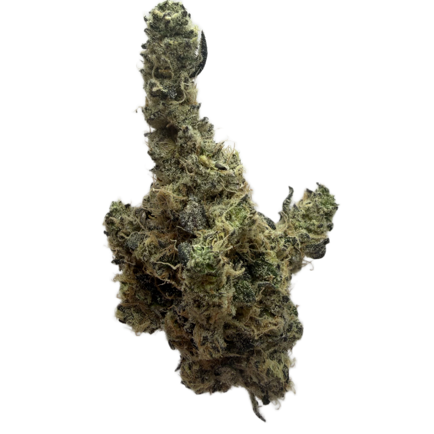 BUBBLEGUM GELATO