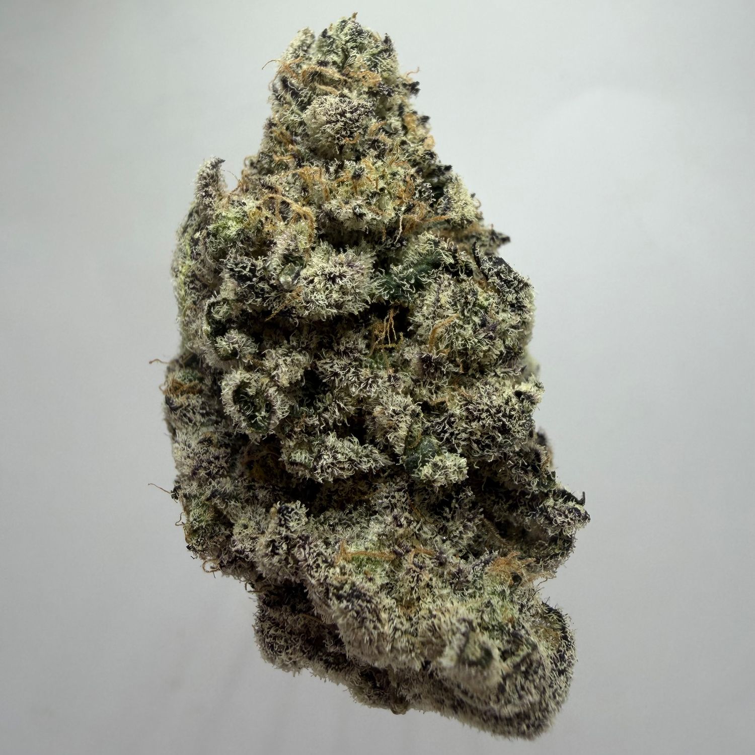 Grape Pie