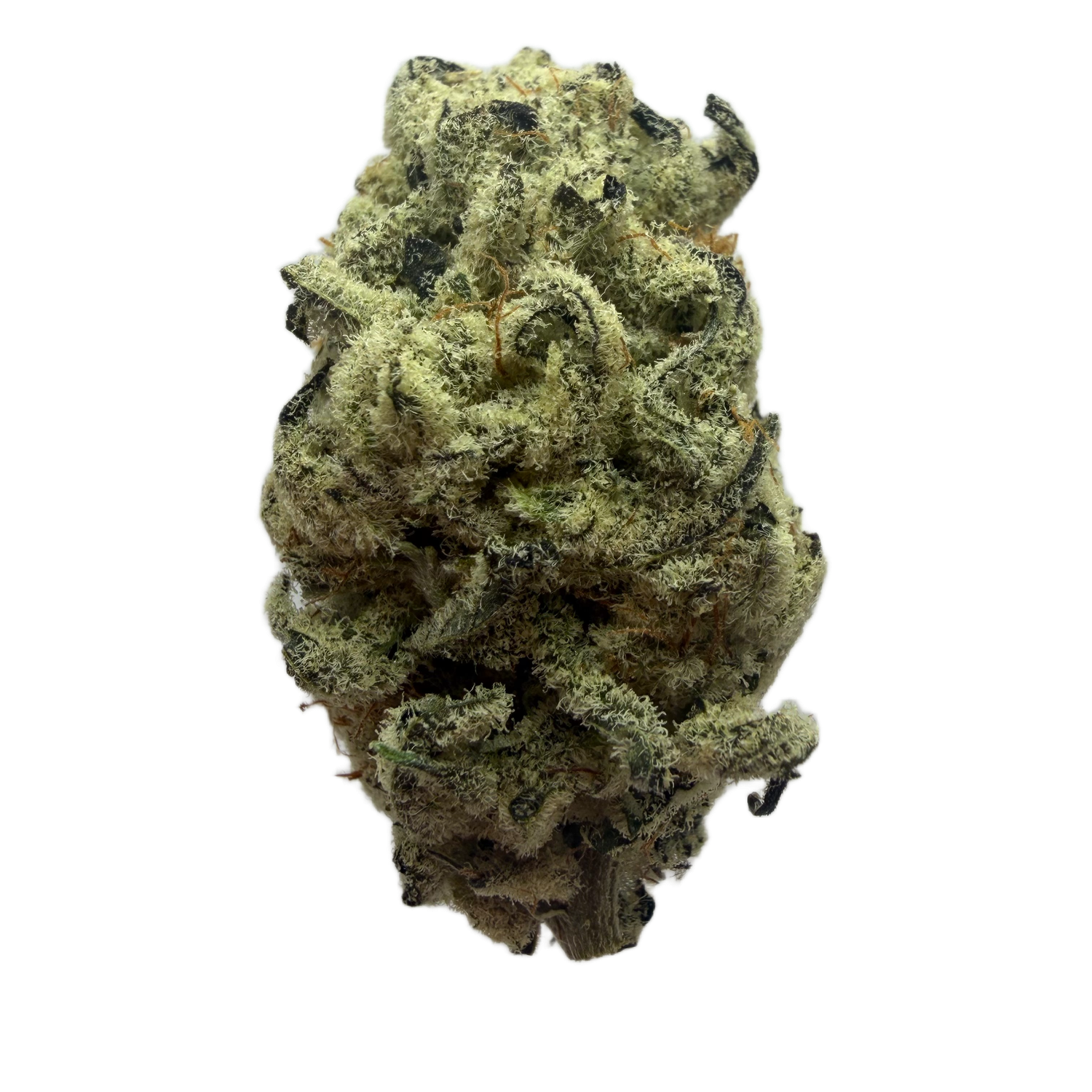 Candy Gelato