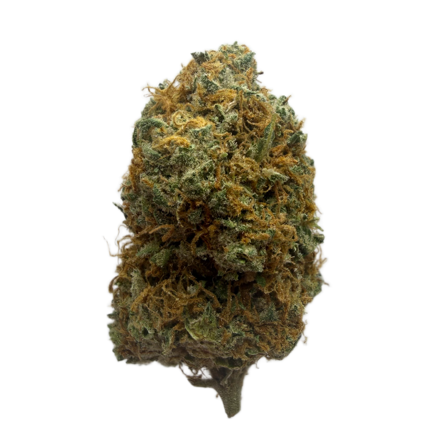 Orange Creamsicle