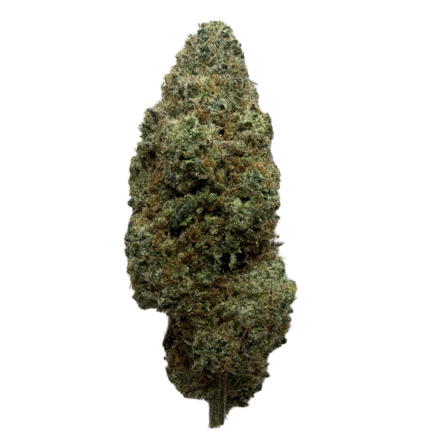 Platinum Cookies