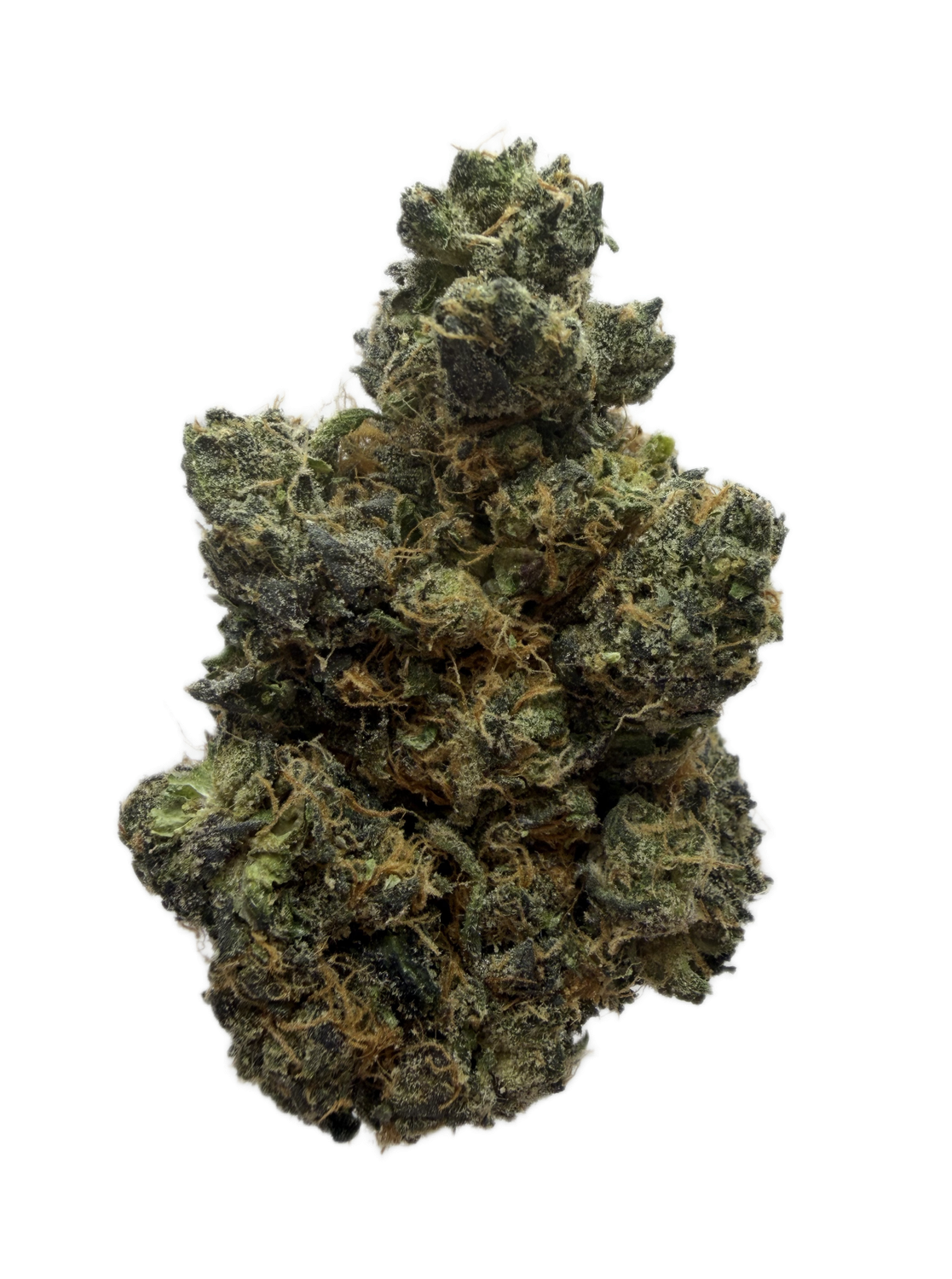 Mule Fuel