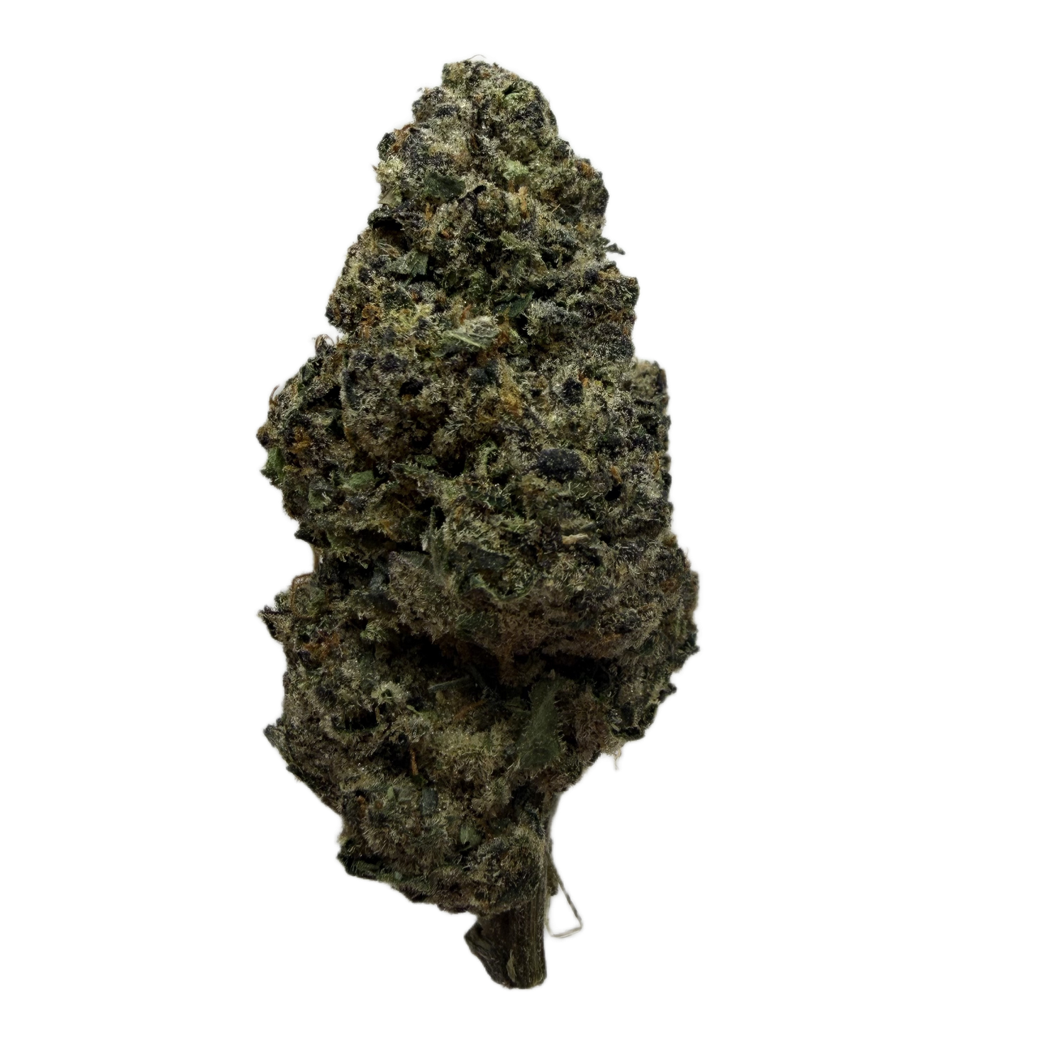 Purple Punch