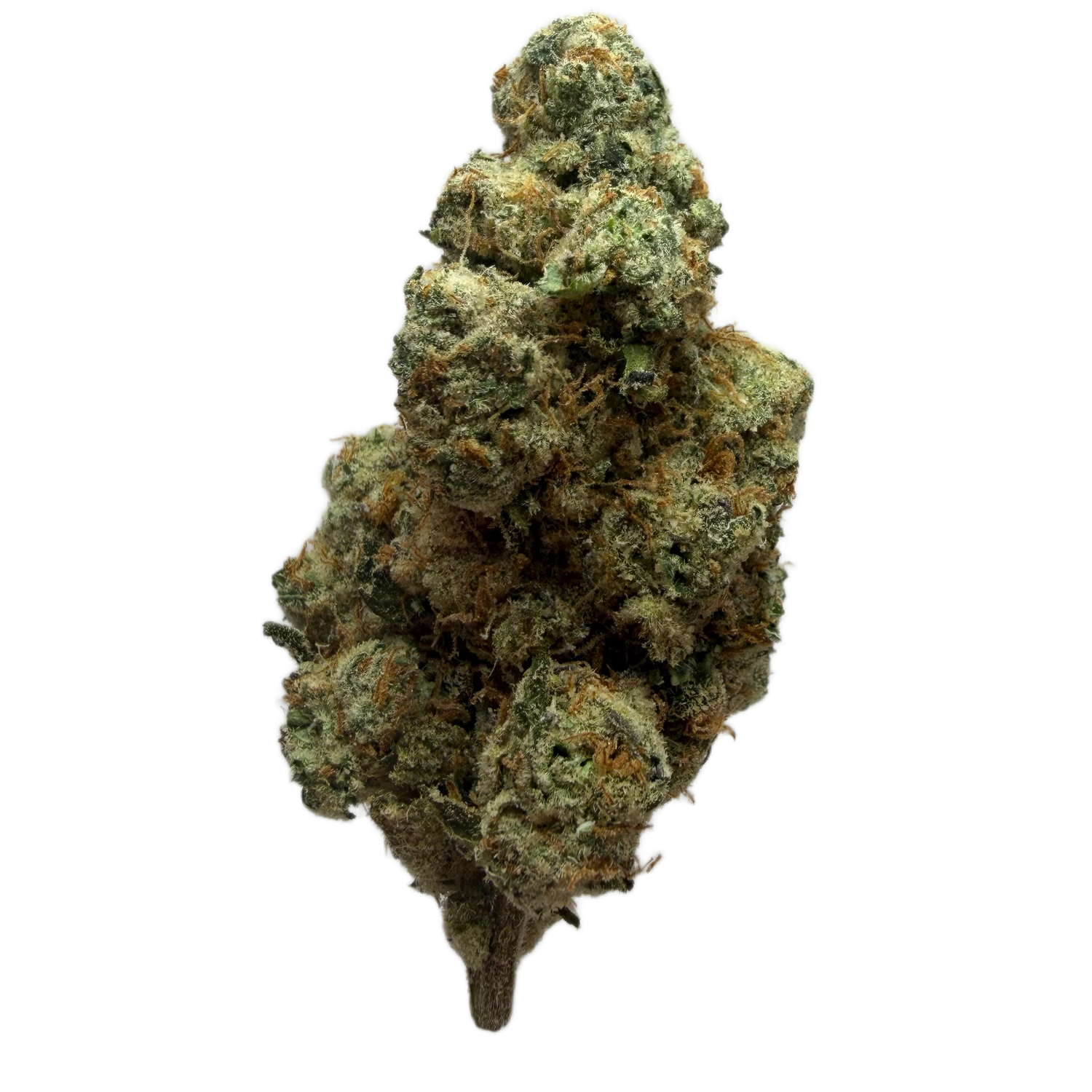 Orange Cookies