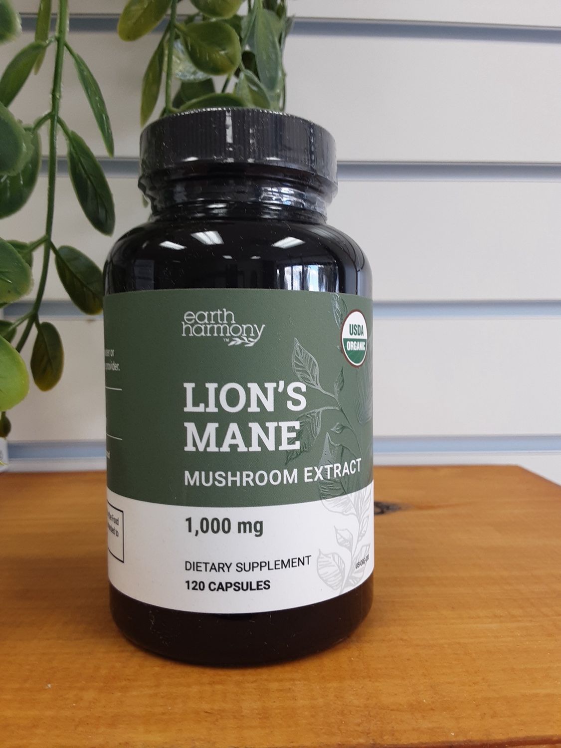 Lion's Mane Mushroom Extract