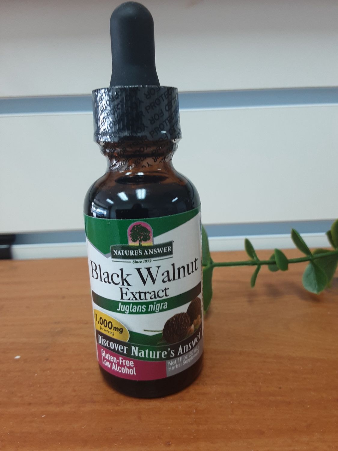 Black Walnut Extract
