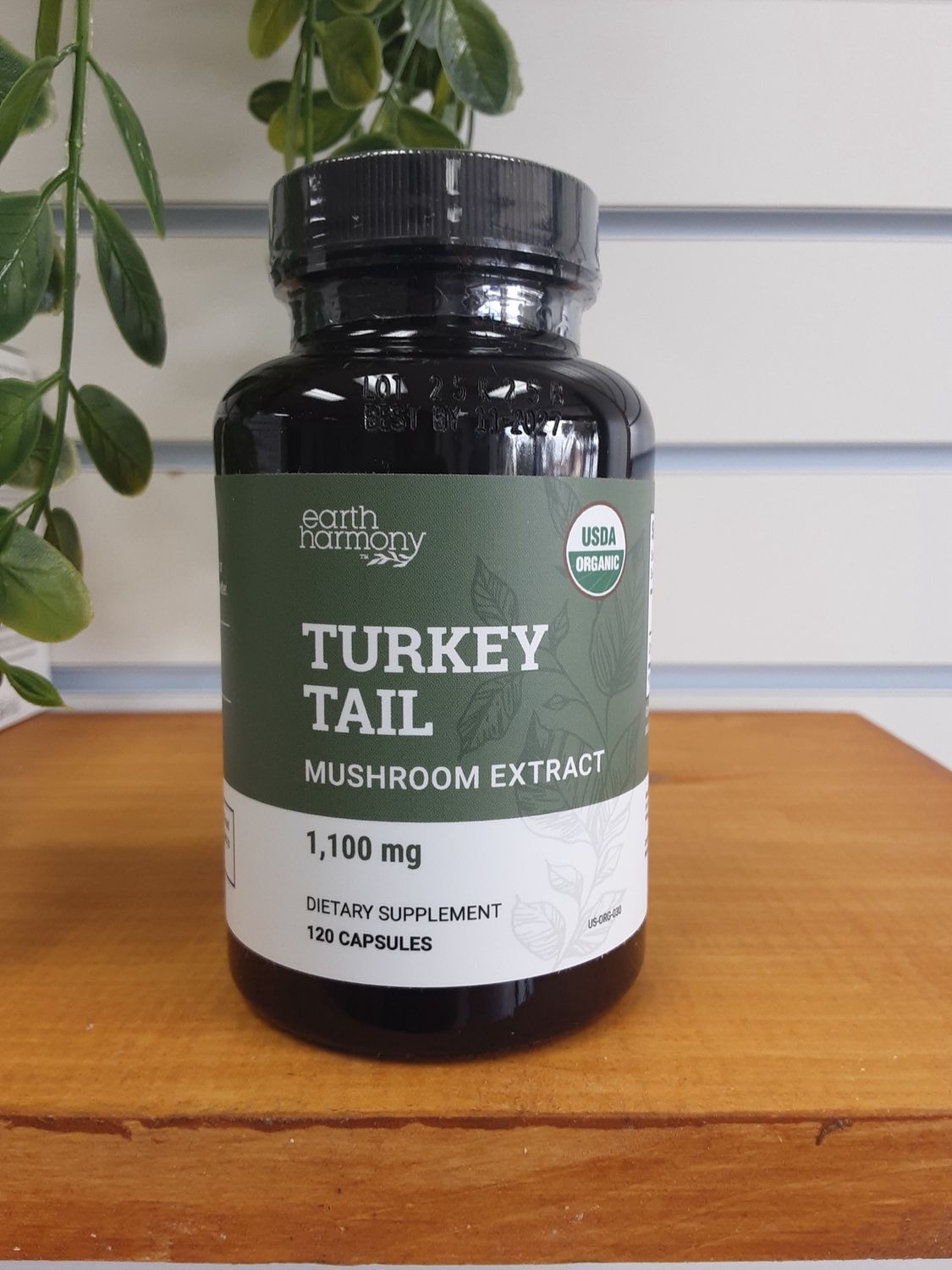 Turkey Tail Mushroom Extract