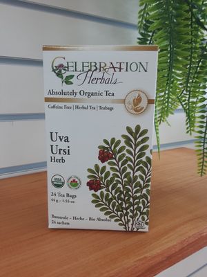 Uva Ursi Herb Tea bags