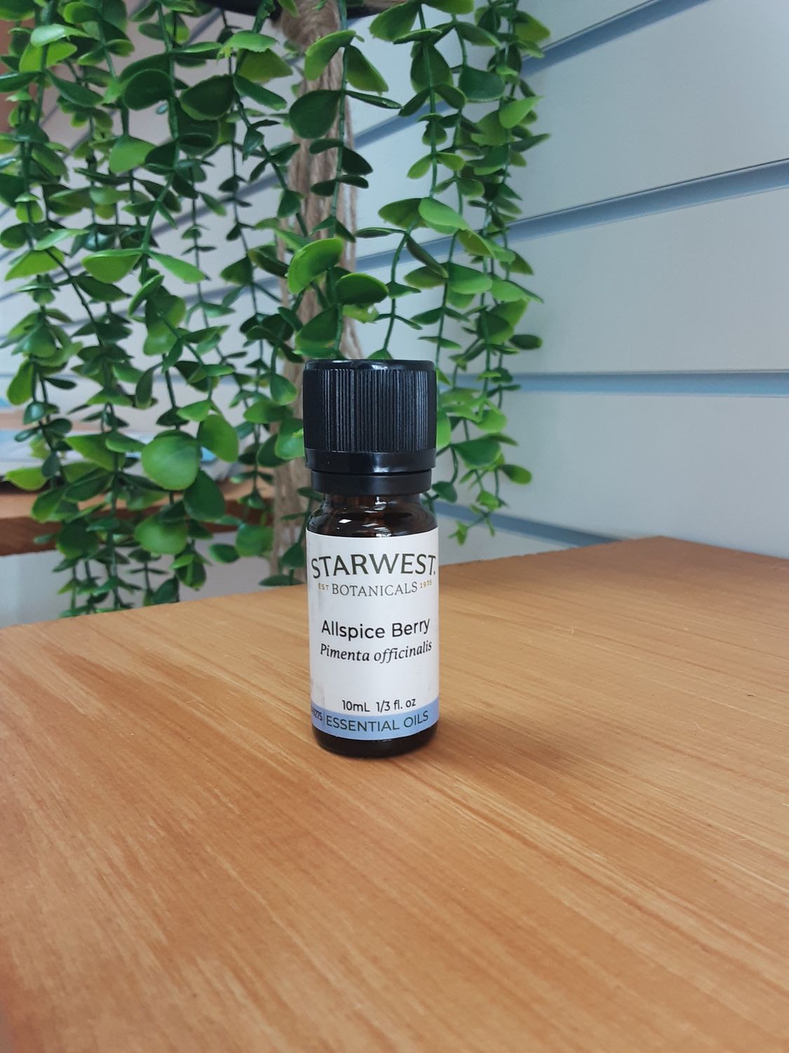 Allspice Berry Essential Oil