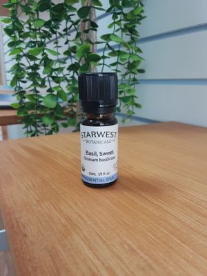 Basil, Sweet Essential Oil