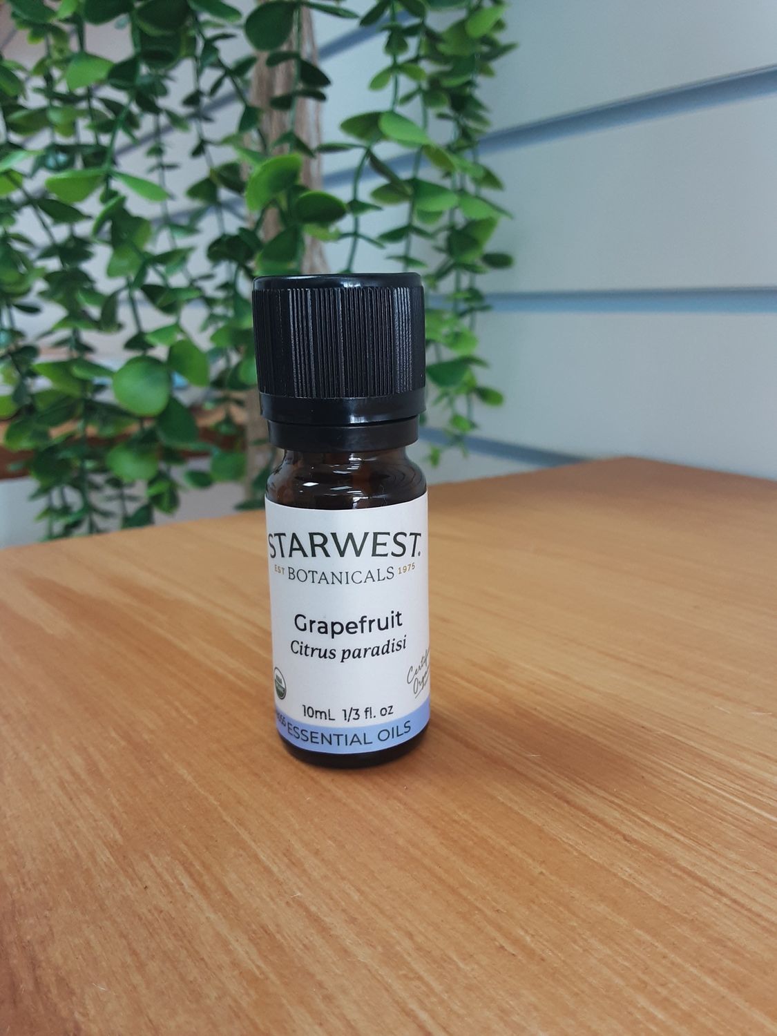 Grapefruit Essential Oil