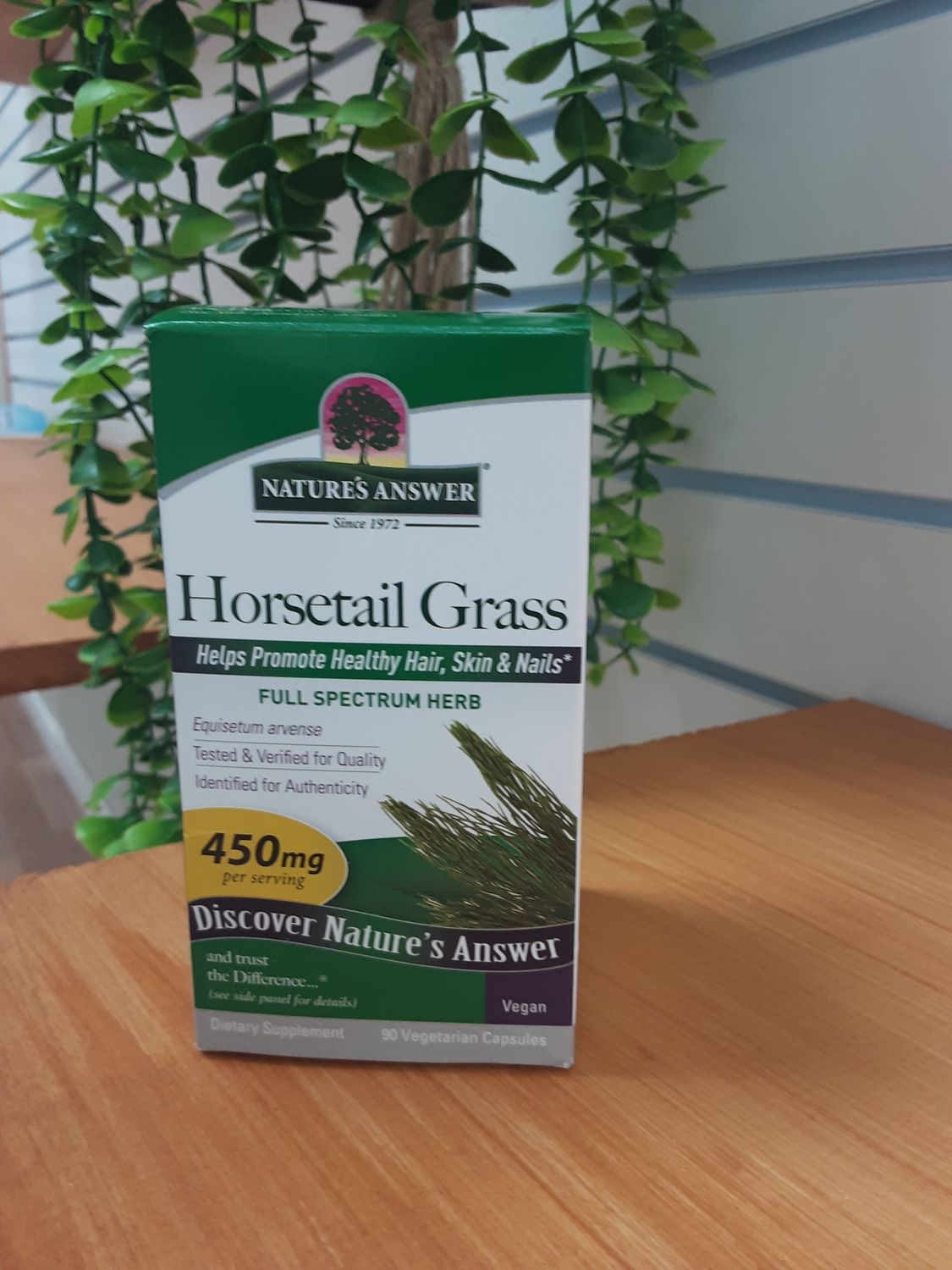 Horsetail Grass