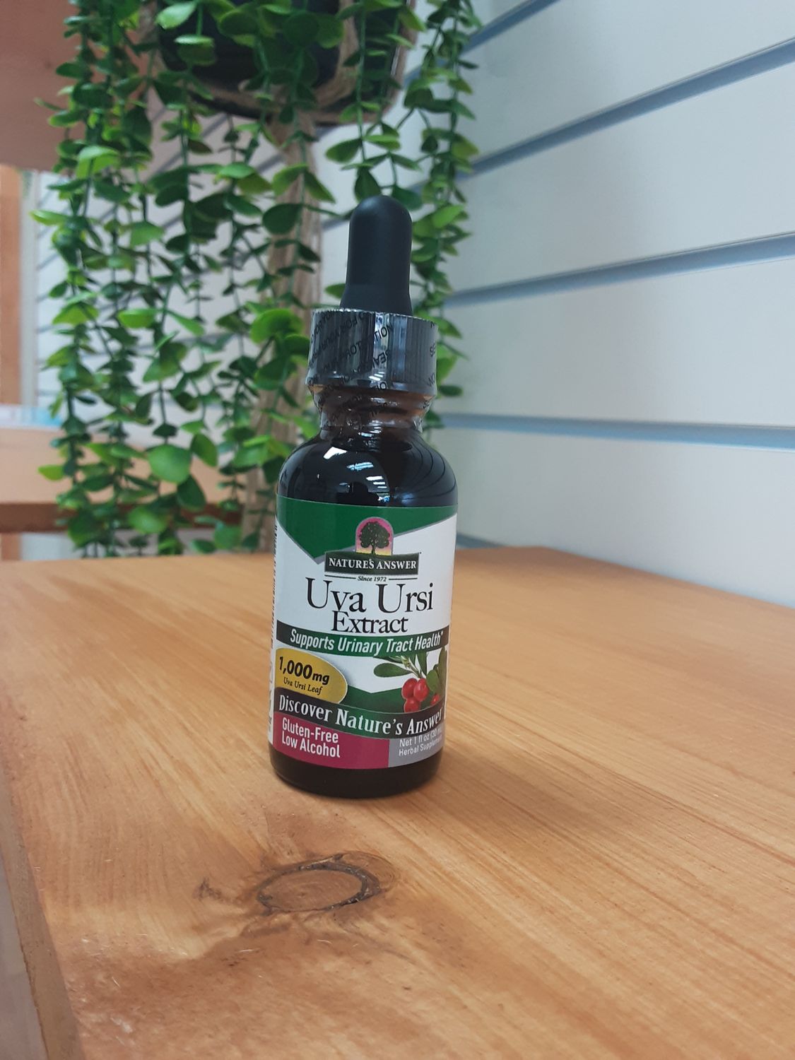 Uva Ursi extract