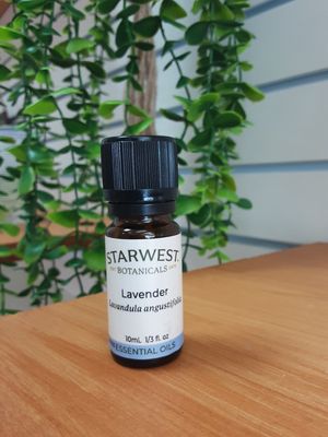 Lavender Essential Oil