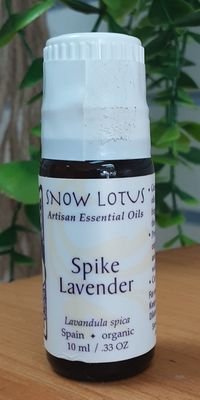 Spike Lavender Essential Oil