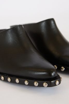 Taylor Mule