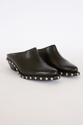 Taylor Mule, Schutz