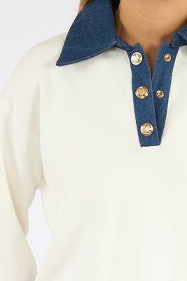 Maxime Knit Collared Sweater
