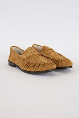 Dover Ginger, Oncept
