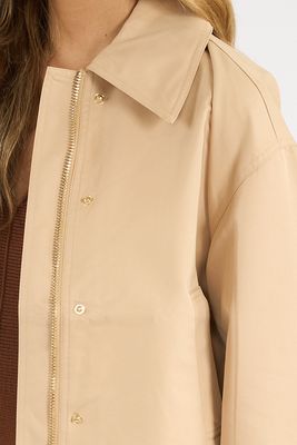 The Rue Cropped Trench