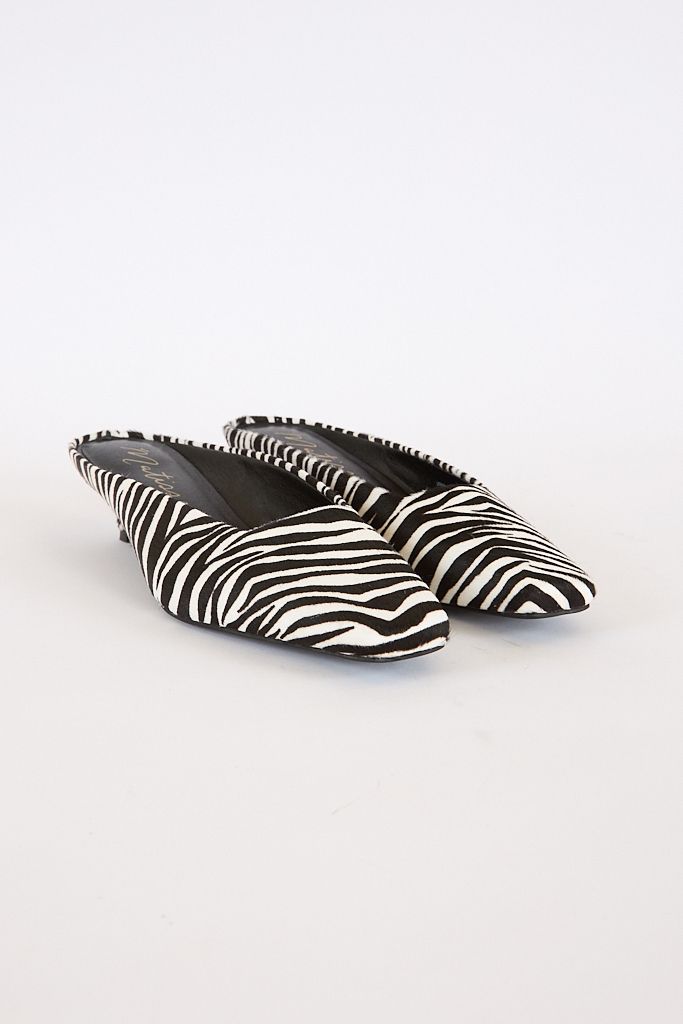 Classy Zebra