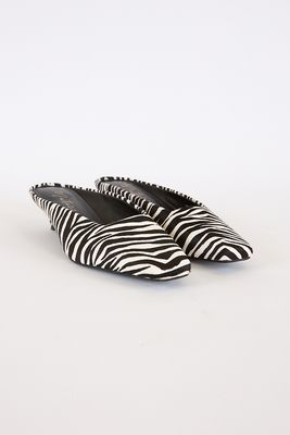 Classy Zebra