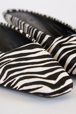Classy Zebra