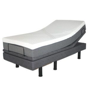 Golden: Passport Queen Mattress w/ Transfer Edge 59x79.5 (MAT100a-qb-STD)