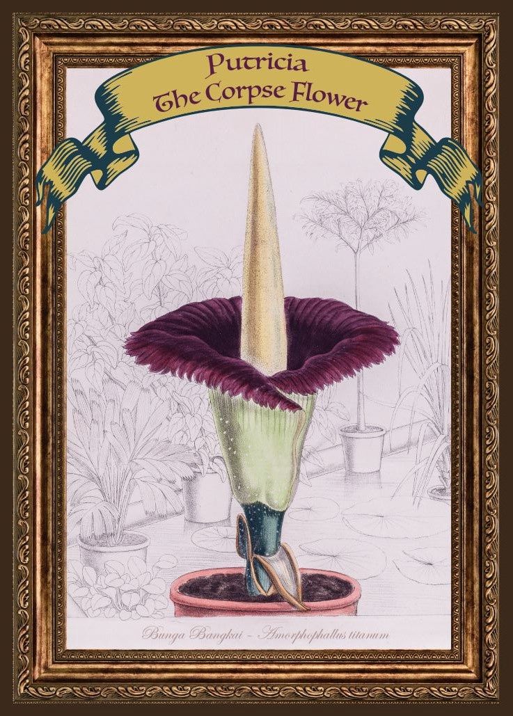 'Putricia' Post Card