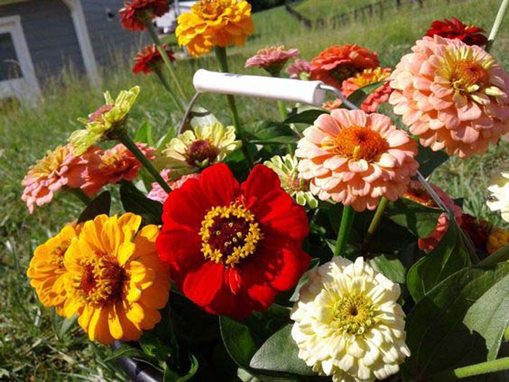 U-Pick Bucket by Date