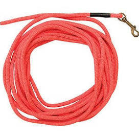 SportDOG Check Cord Dog Leash, Orange, 30-foot