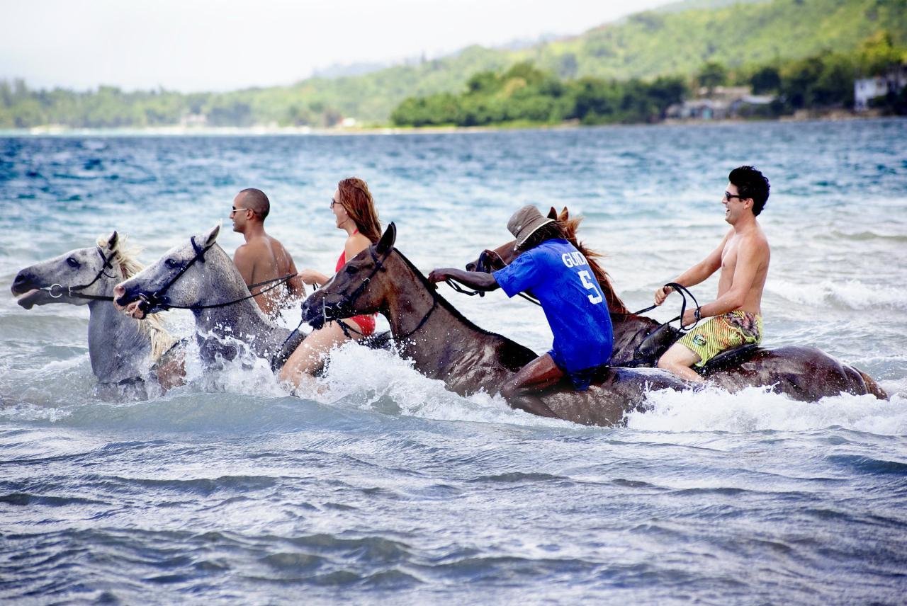 Horseback Adventure Horseback Adventure