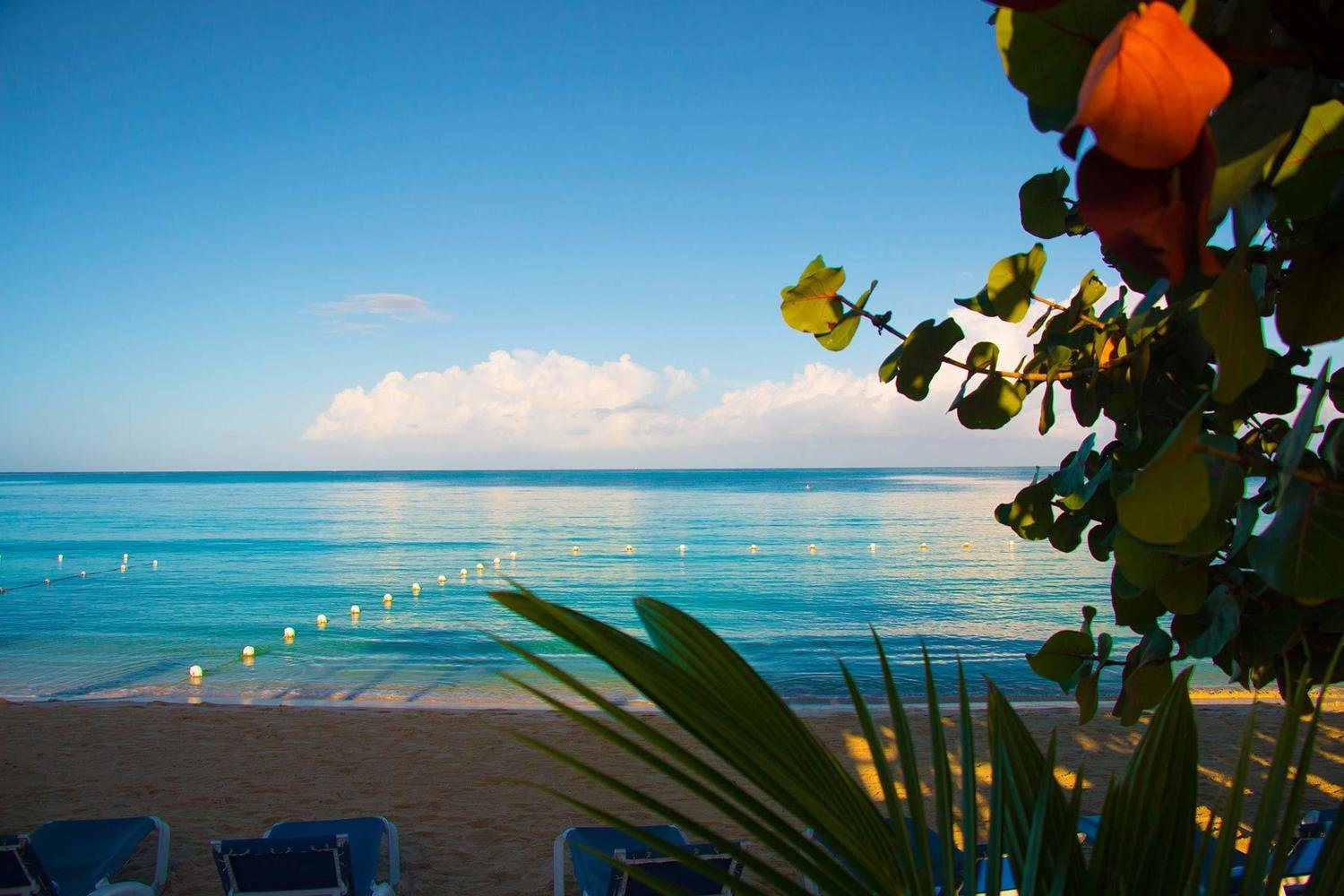 Sunscape Cove Sunscape Cove